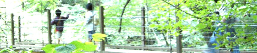 Random header image... Refresh for more!
